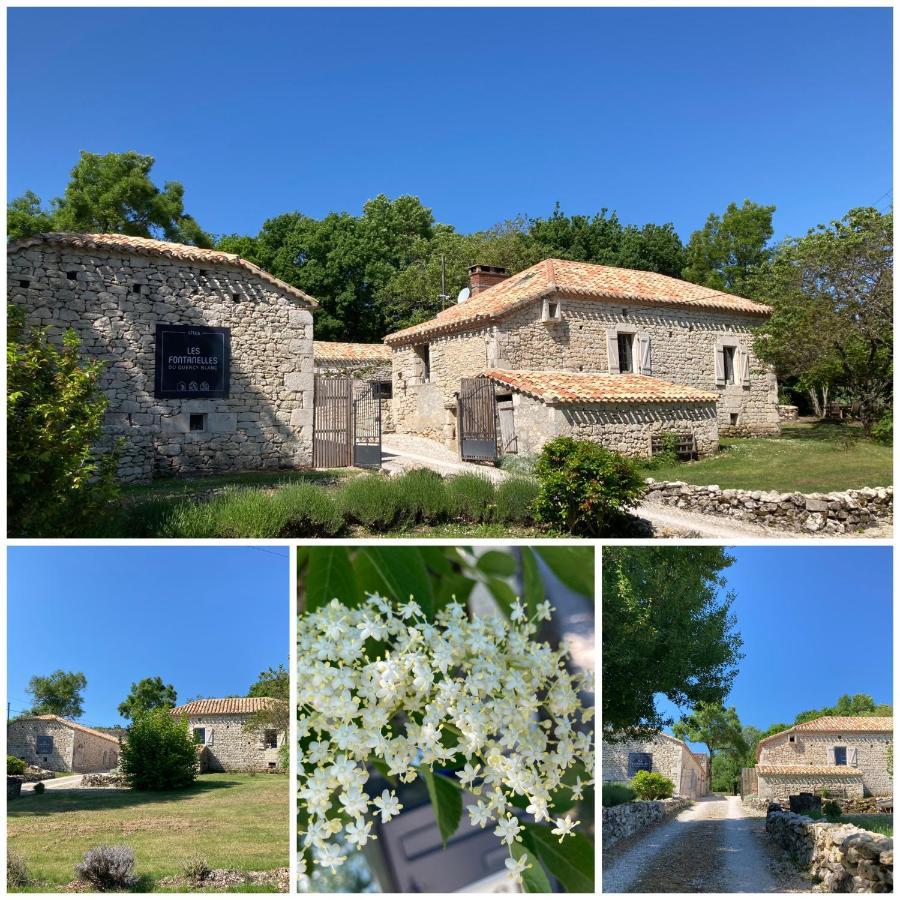 Les Fontanelles Du Quercy Blanc Hébergement de vacances *